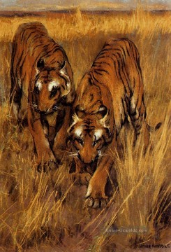 Tigers 2 Arthur Wardle Ölgemälde